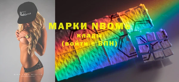 хмурый Каменногорск