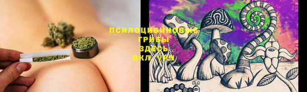 гашик Богородск