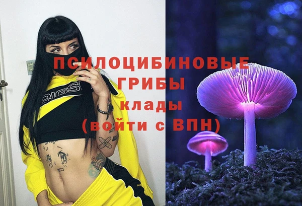 spice Каменка