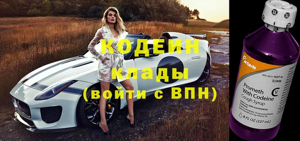 spice Каменка