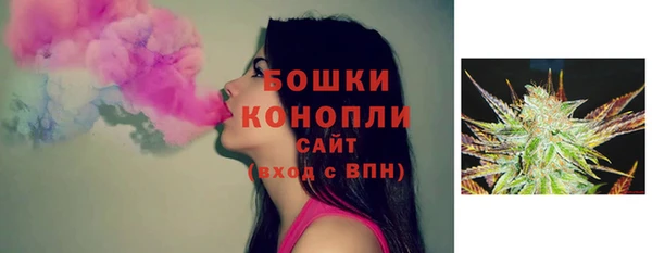 хмурый Каменногорск