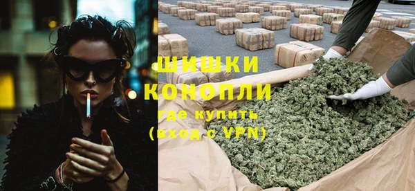 spice Каменка