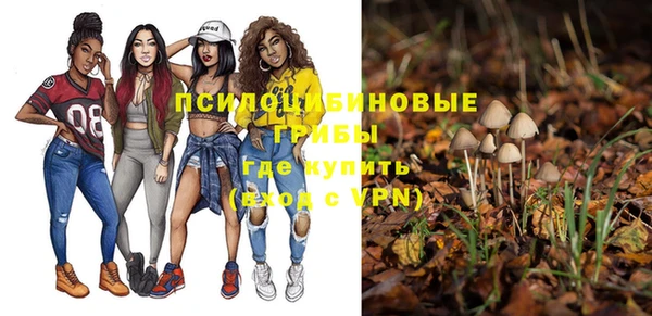 spice Каменка