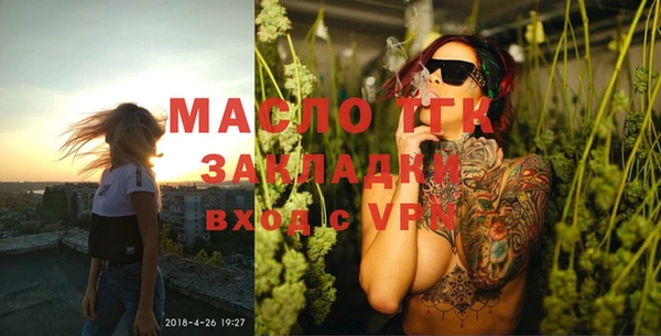 mix Богородицк